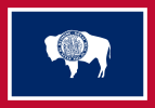 A flag with a buffalo in the middle

Description automatically generated